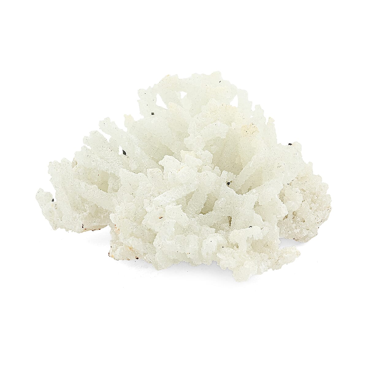 Unconditional Love Prehnite - Stone of Healing