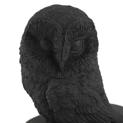 Natural Shungite Owl – Spiritual Guardian for Mindful Spaces