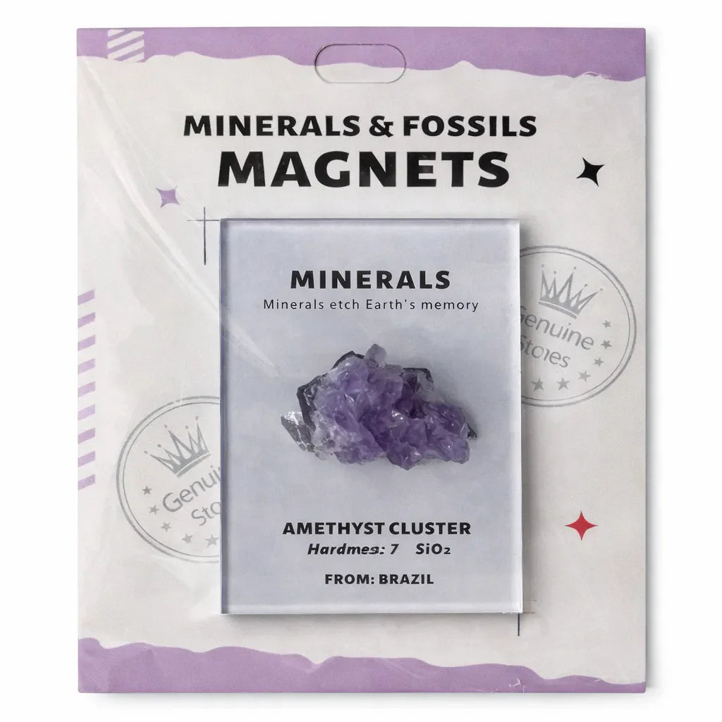 Everyday Intention Crystal Energy Magnet Collection