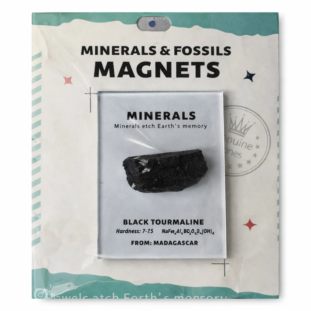Everyday Intention Crystal Energy Magnet Collection
