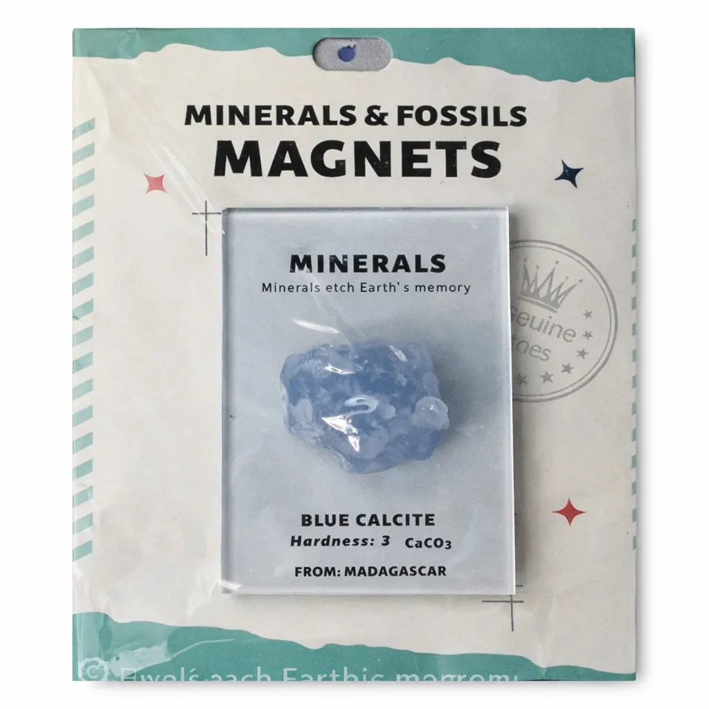 Everyday Intention Crystal Energy Magnet Collection