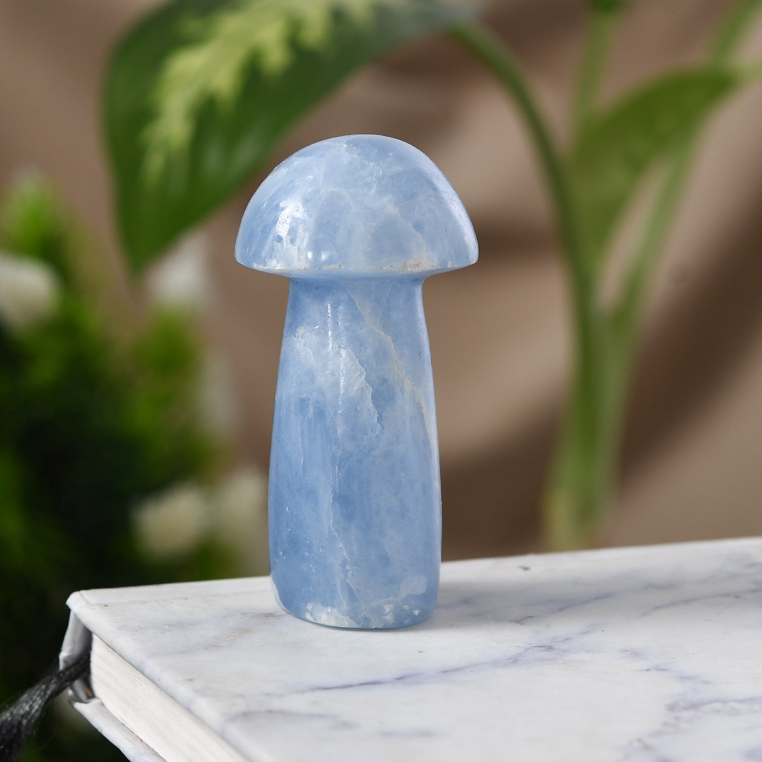 Blue Calcite Mushroom – Crystal To Start Over in Life