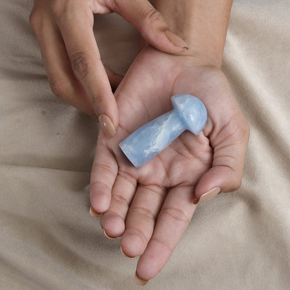 Blue Calcite Mushroom – Crystal To Start Over in Life