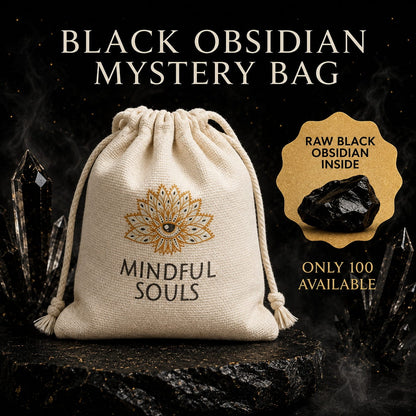 Crystal Mystery Bag – Black Obsidian Empath Shield Edition