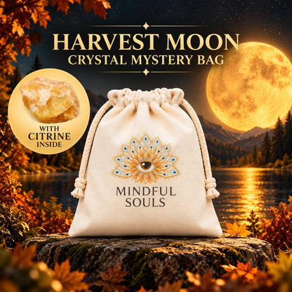 Crystal Mystery Bag – Citrine Edition