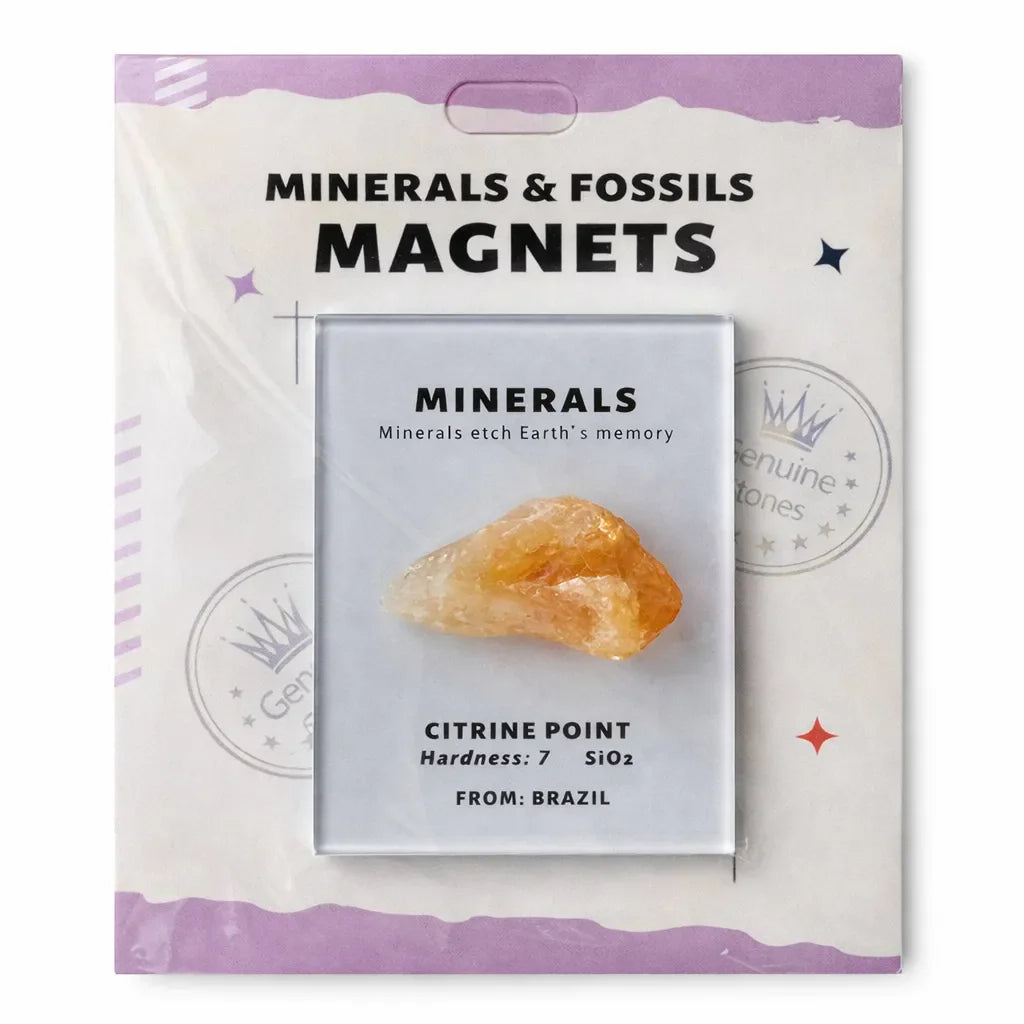 Everyday Intention Crystal Energy Magnet Collection