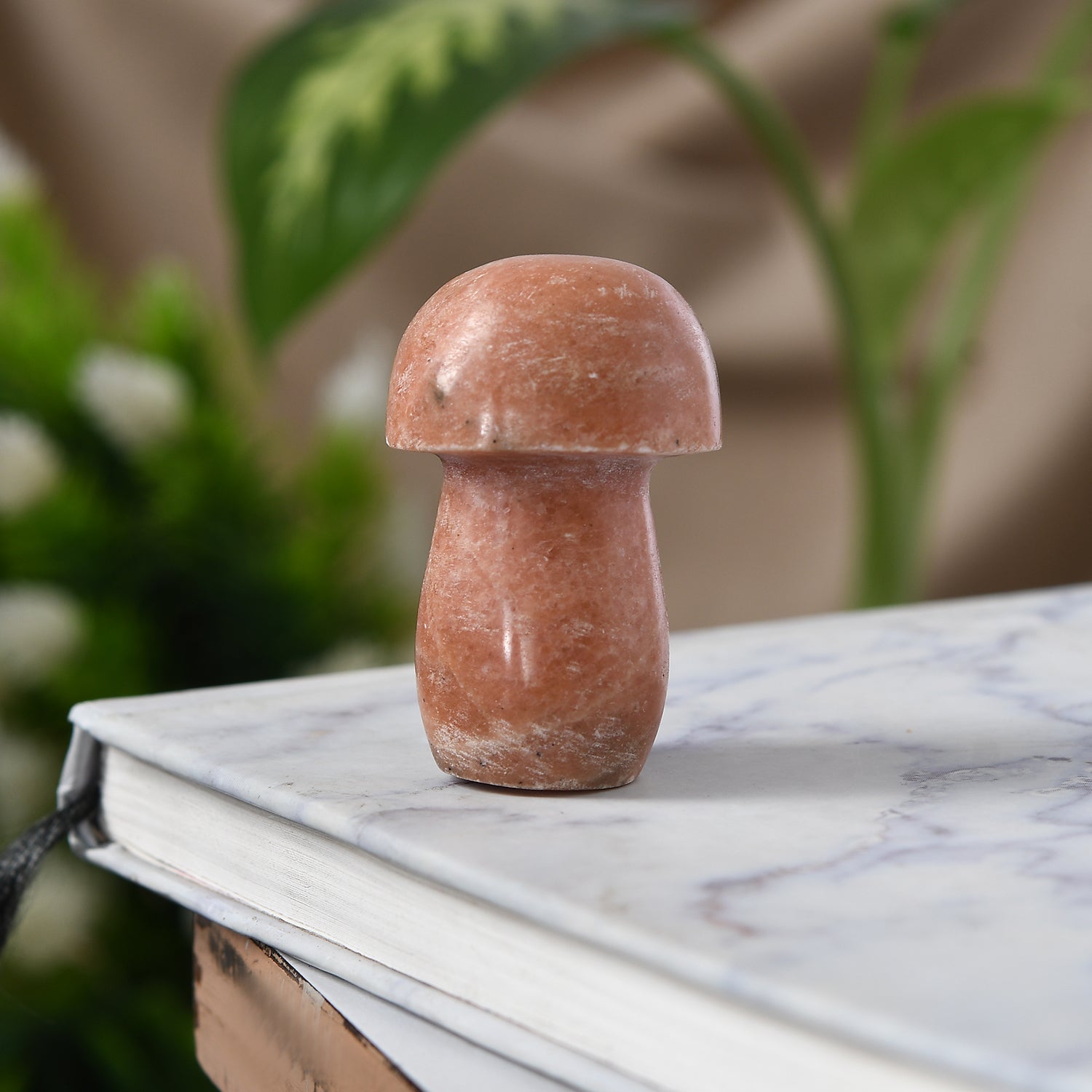 Rare Cipoline Mushroom - A Crystal for Vitality & Joy