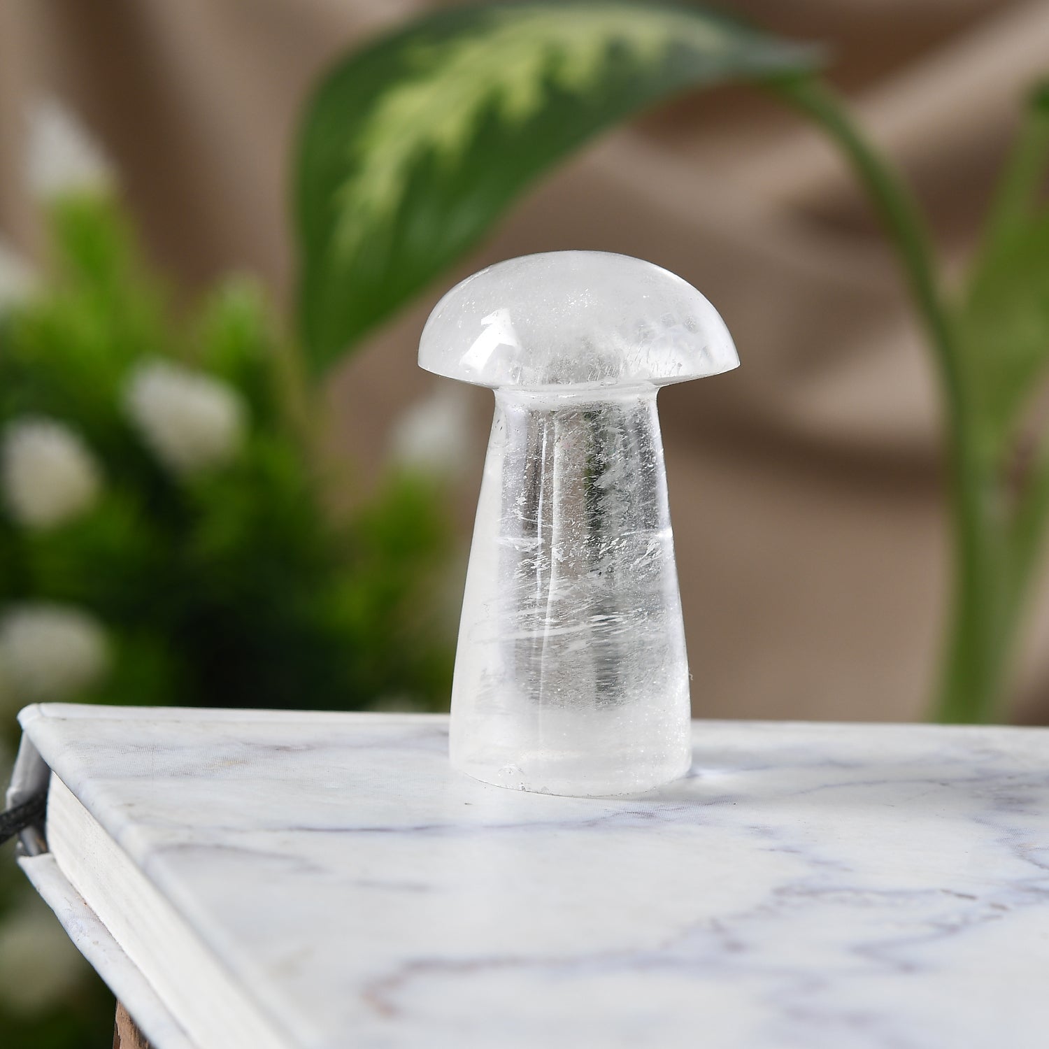 Clear Quartz Mushroom – Cultivate Growth and Positivity