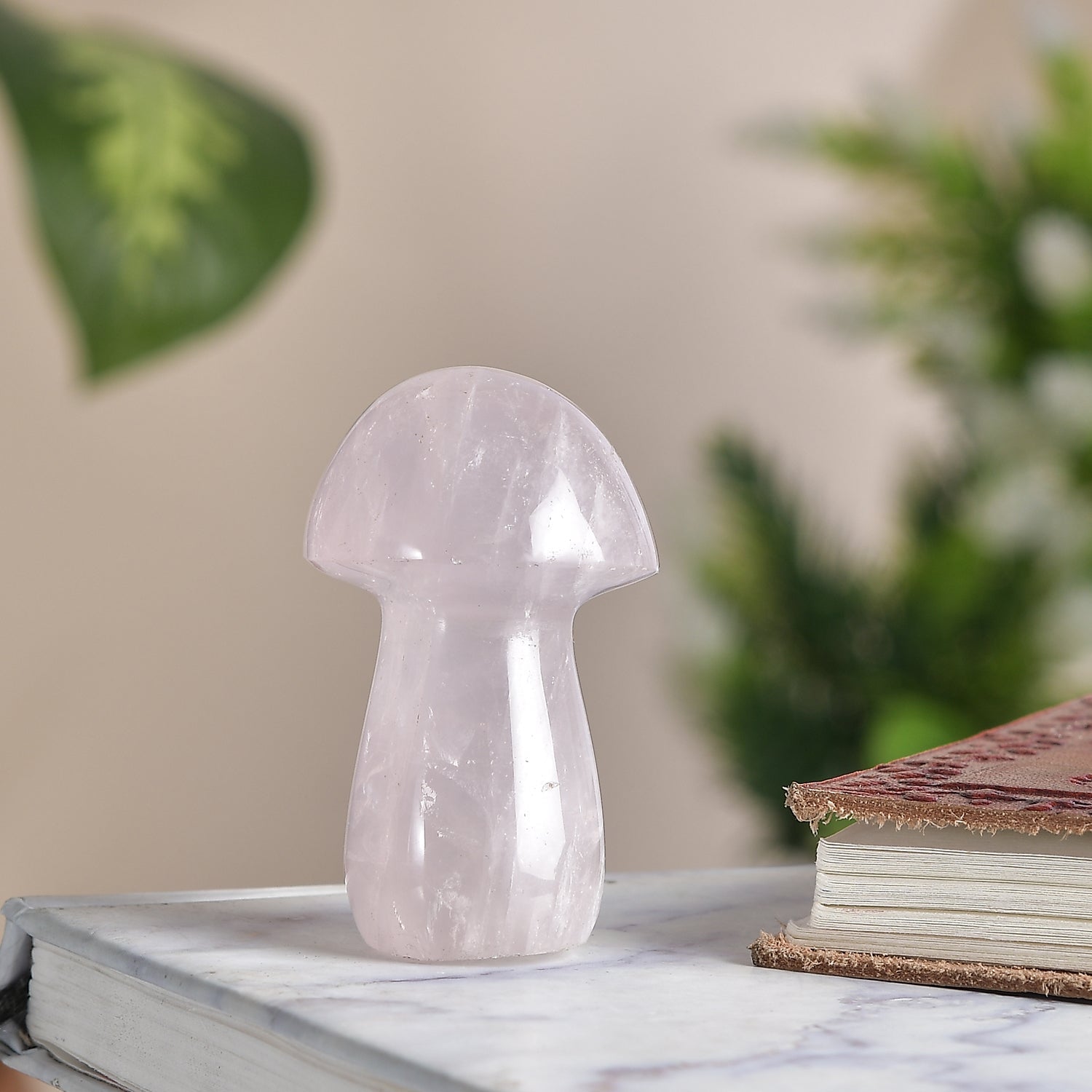 Rose Quartz Mushroom – Love & Strength, Even in Tough Places
