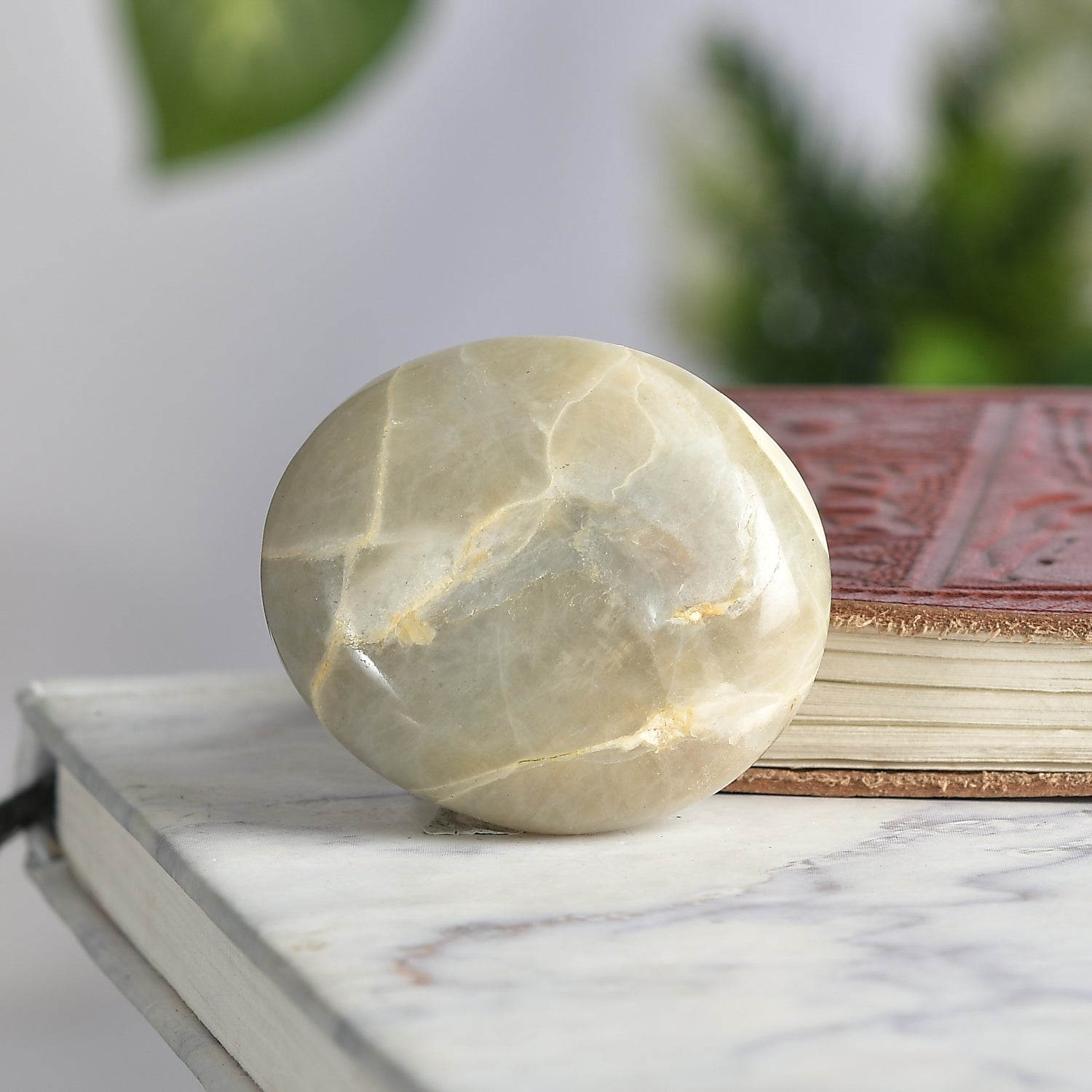 Rare Garnierite Palm Stone - Natural Crystal for Stress Relief