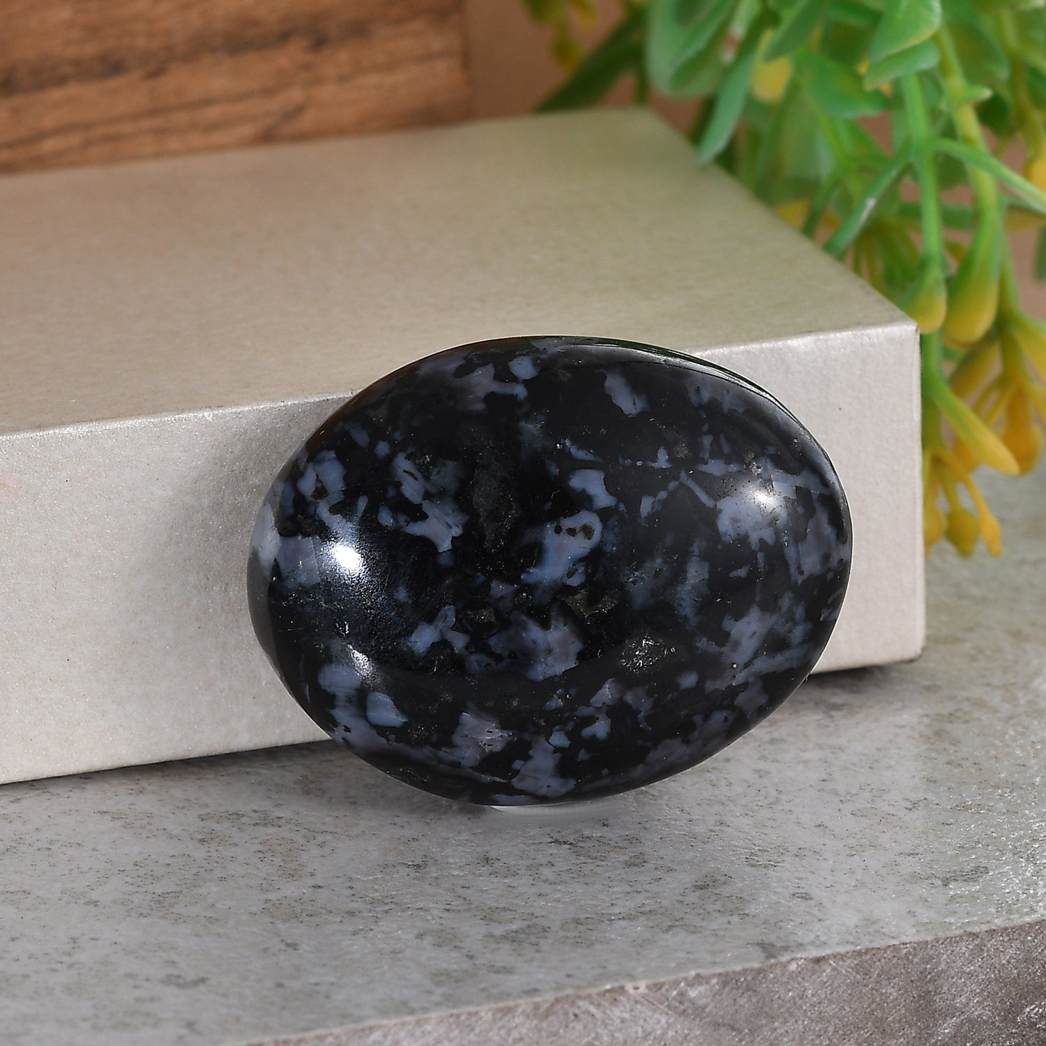 Jasper Gabbro Palm Stone - Shadow Work Crystal