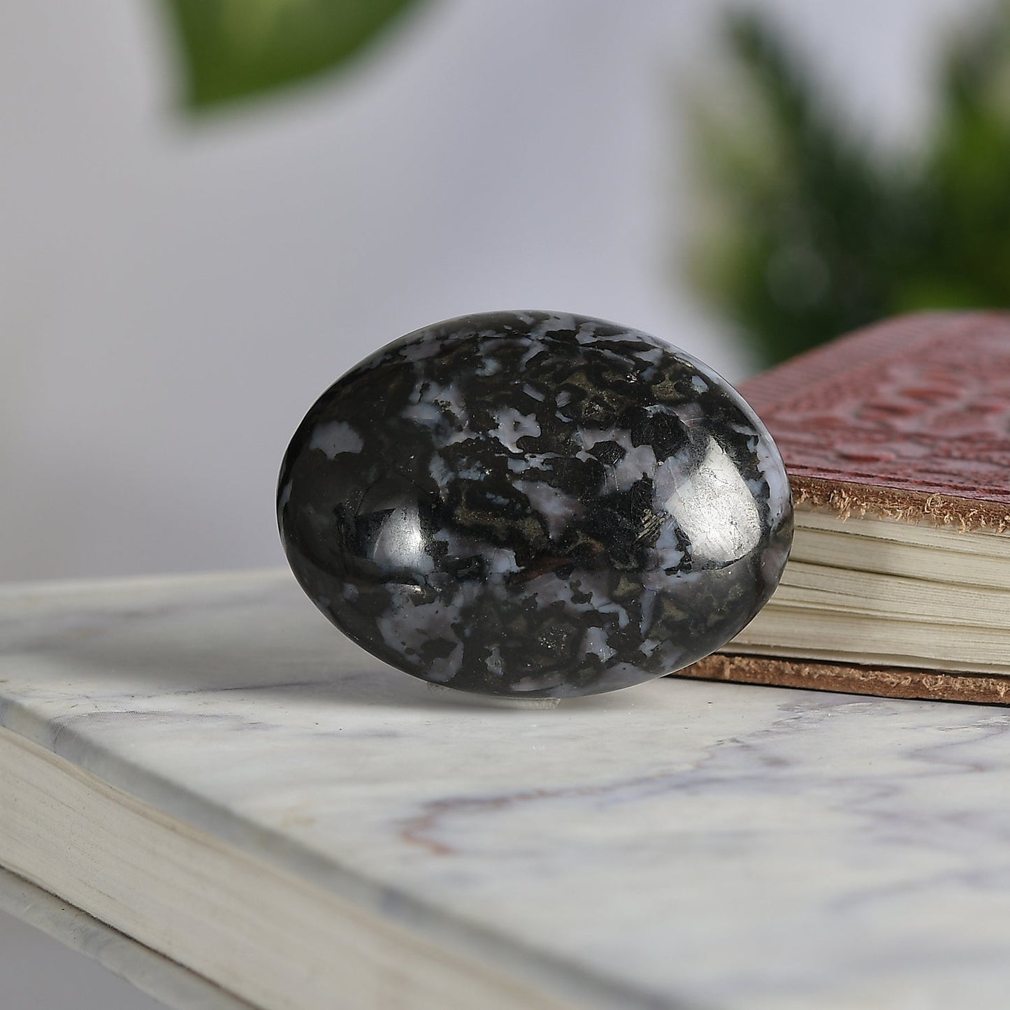 Jasper Gabbro Palm Stone - Shadow Work Crystal