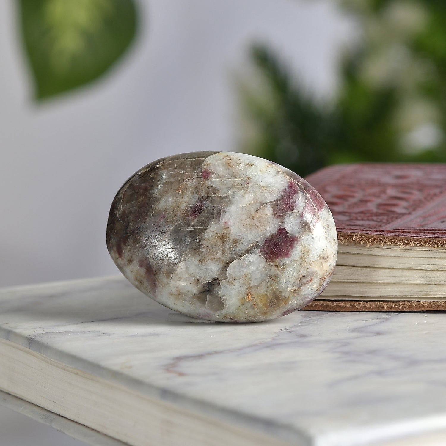 Tourmaline Rubylite Palm Stone – Rediscover Your Fire
