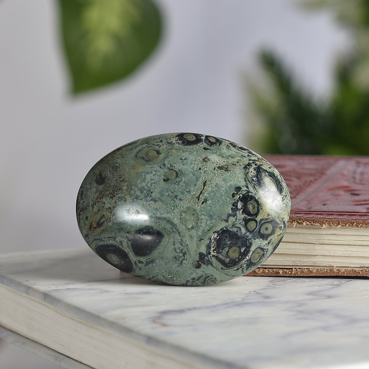 Kambaba Jasper Palm Stone - A Rare Madagascar Crystal