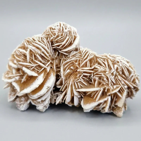 Grounding & Manifestation Desert Rose