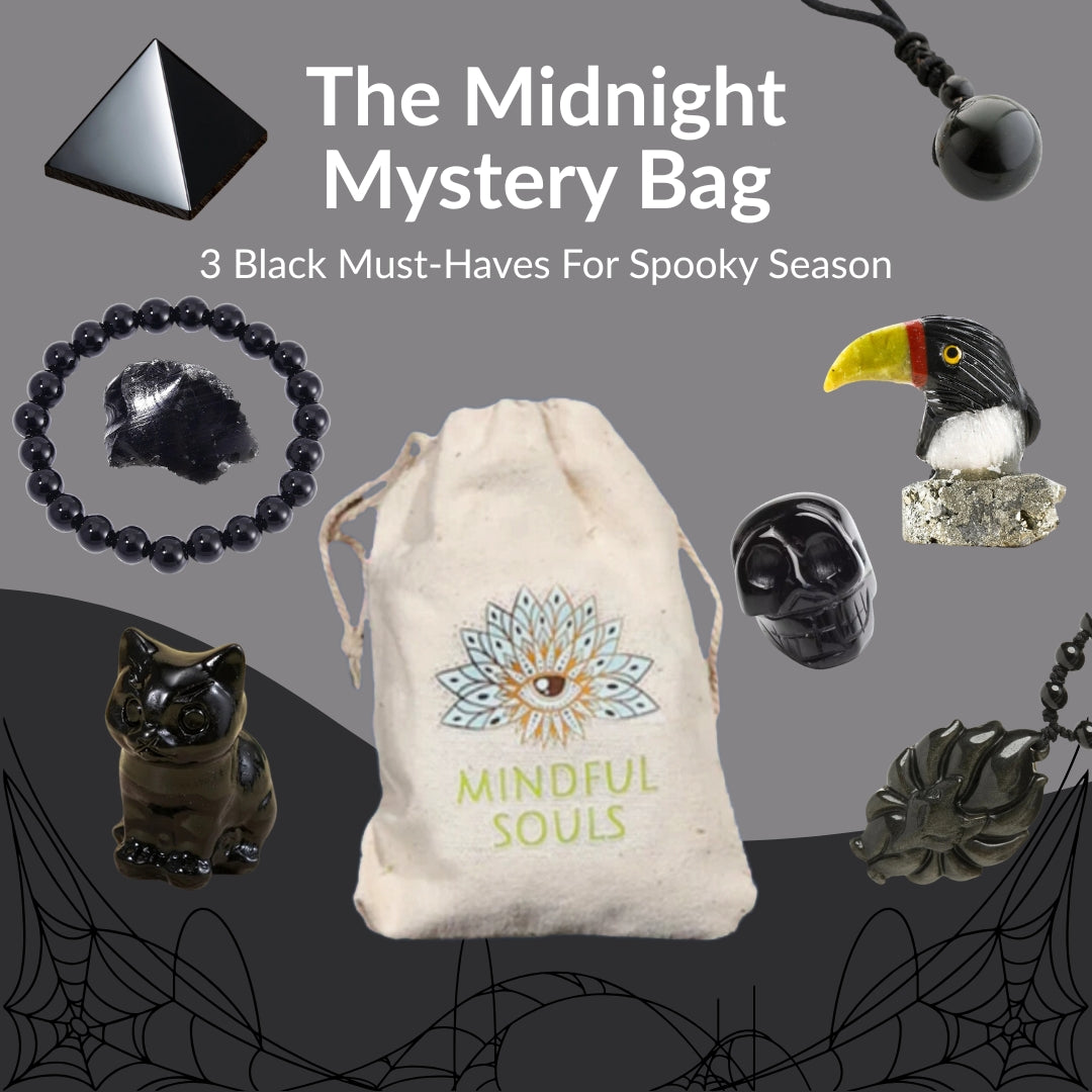 The Midnight Mystery Bag - 3 Black Must-Haves For Spooky Season