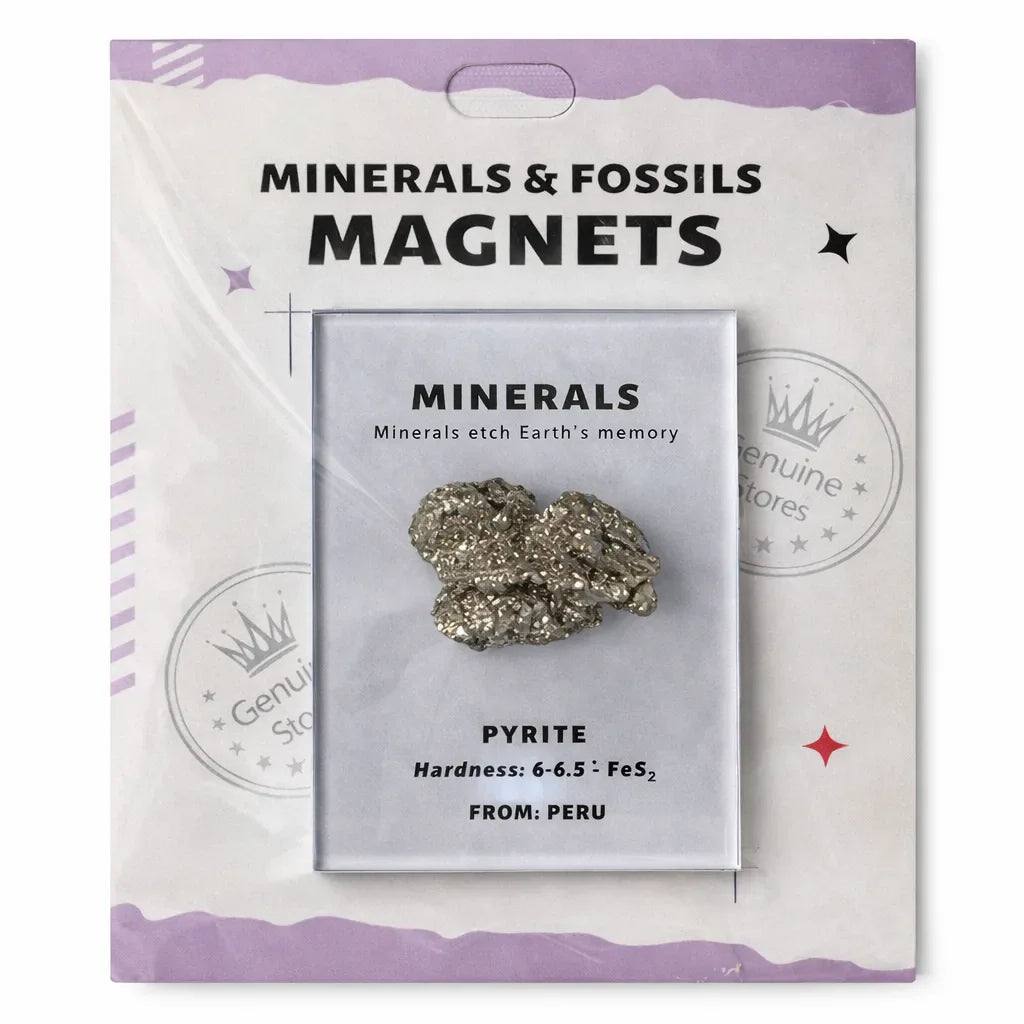 Everyday Intention Crystal Energy Magnet Collection