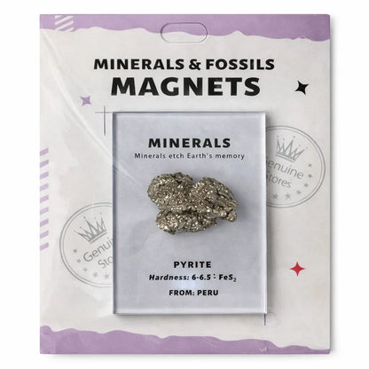 The Wealth Energy Starter Kit