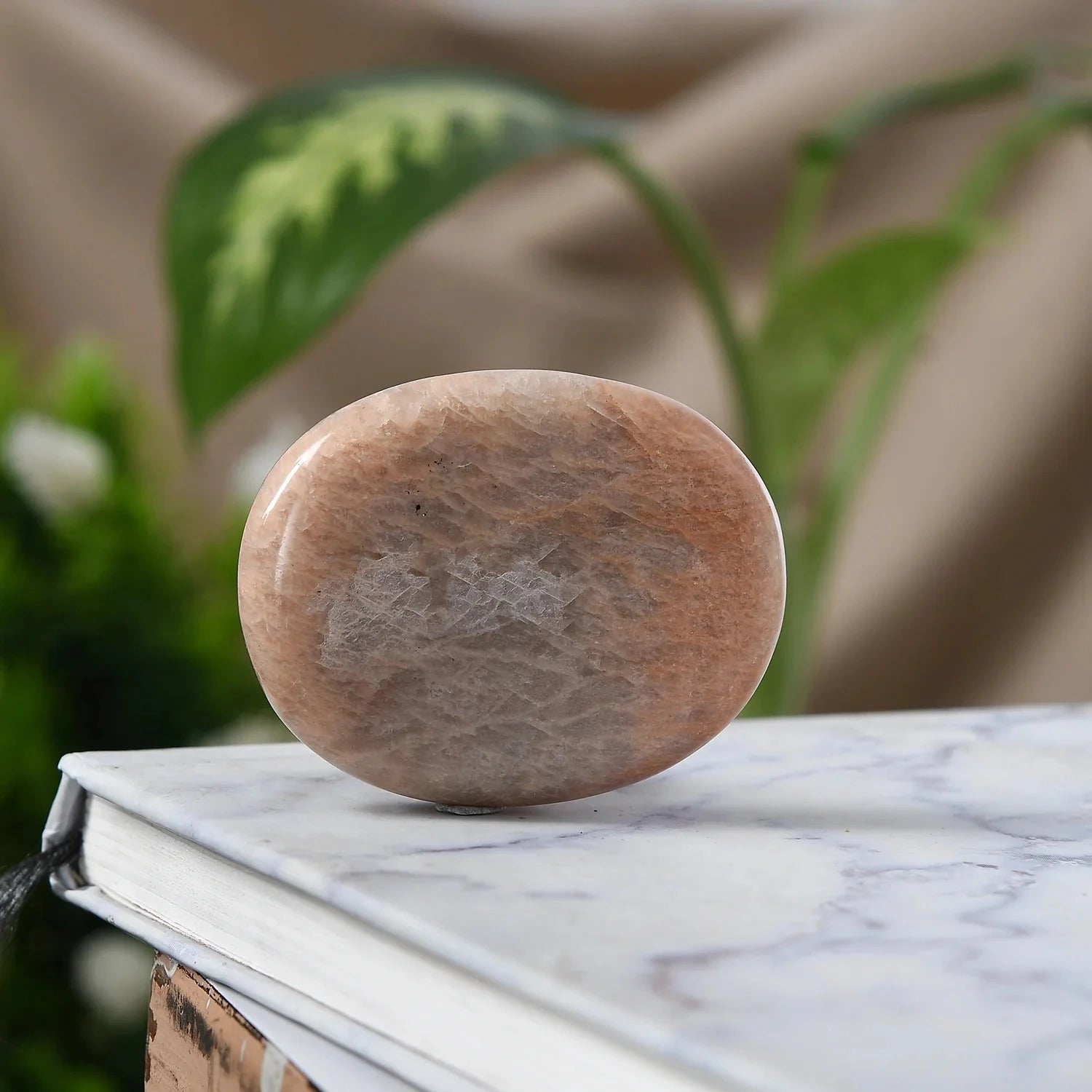 Peach Moonstone Palm Stone – For Inner Kindness & Quiet Confidence