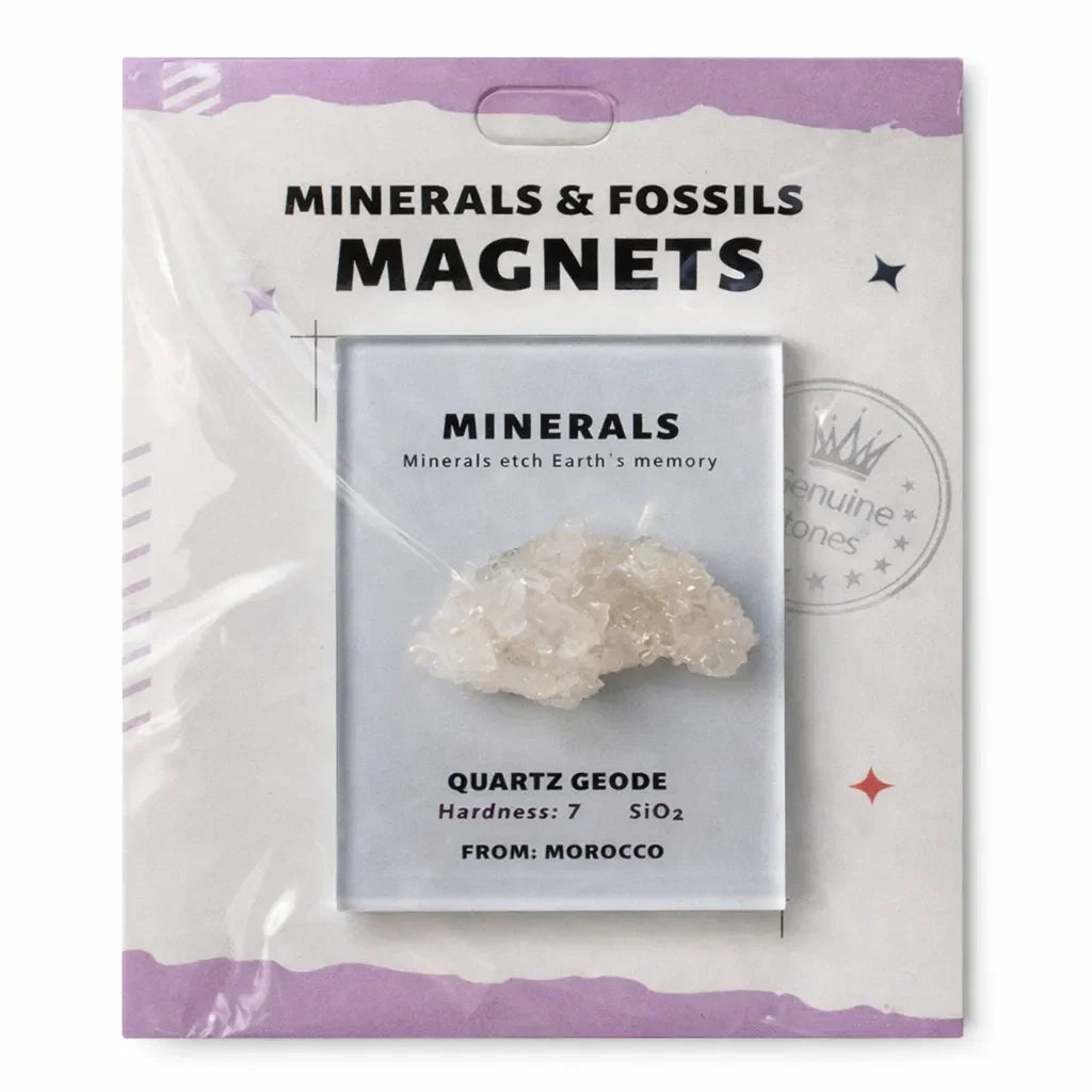 Everyday Intention Crystal Energy Magnet Collection