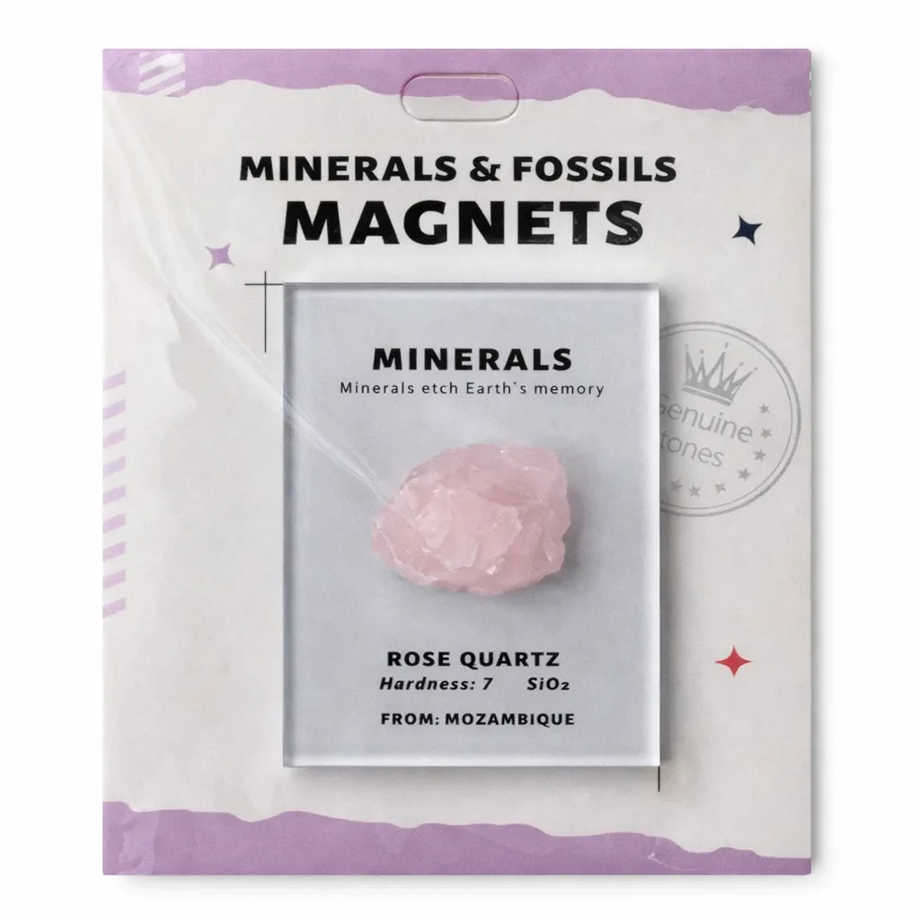 Everyday Intention Crystal Energy Magnet Collection