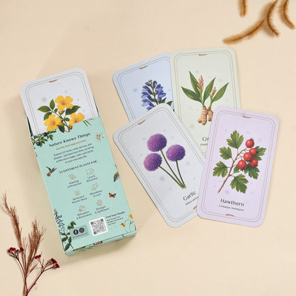 The Everyday Apothecary Deck – 55 Herb Cards for Rituals, Spells, and Manifestation