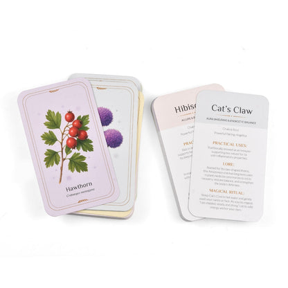 The Everyday Apothecary Deck – 55 Herb Cards for Rituals, Spells, and Manifestation