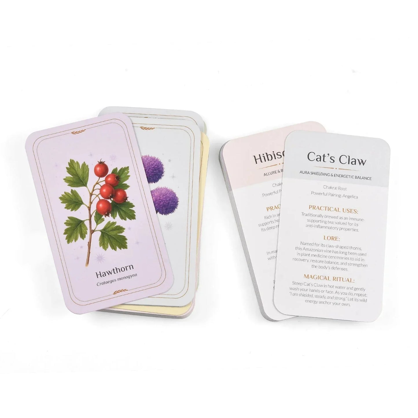 Witchcraft Starter Kit + FREE Apothecary Deck