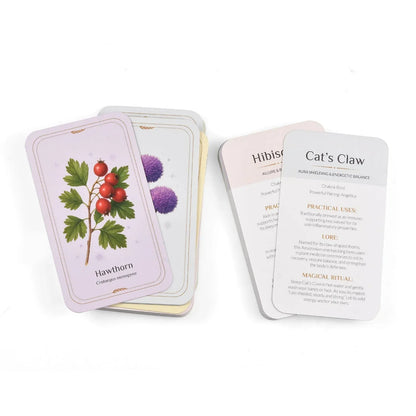 Witchcraft Starter Kit + FREE Apothecary Deck