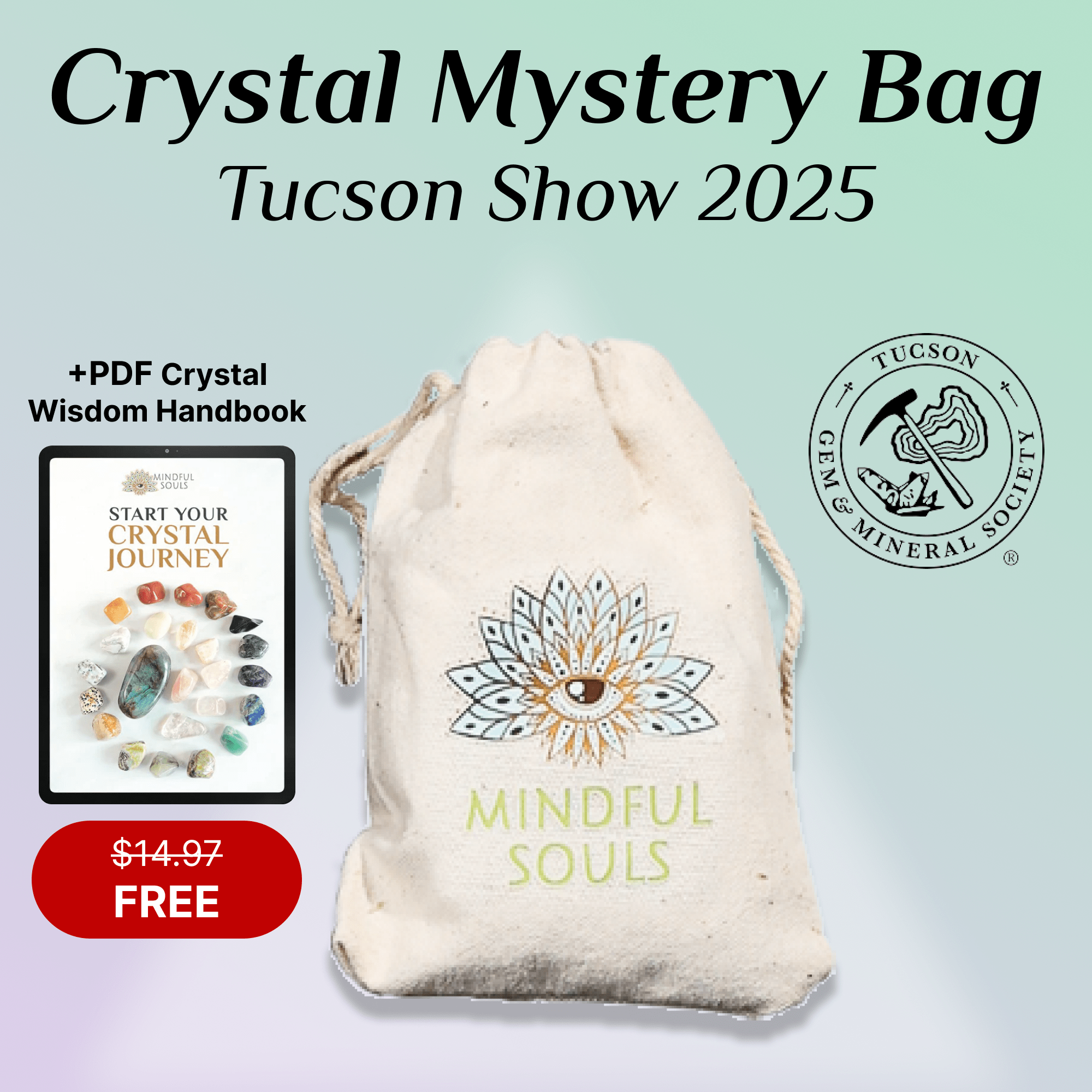 Crystal Mystery Bag – Tucson Gem Show 2025 Edition + FREE Crystal Wisdom Handbook