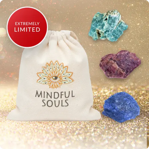 Limited Edition Holiday Crystal Bag