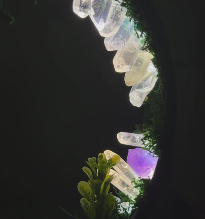Natural Quartz Forest LED Lamp