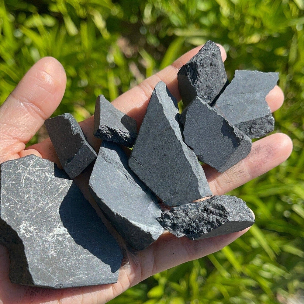 Raw Shungite Stones