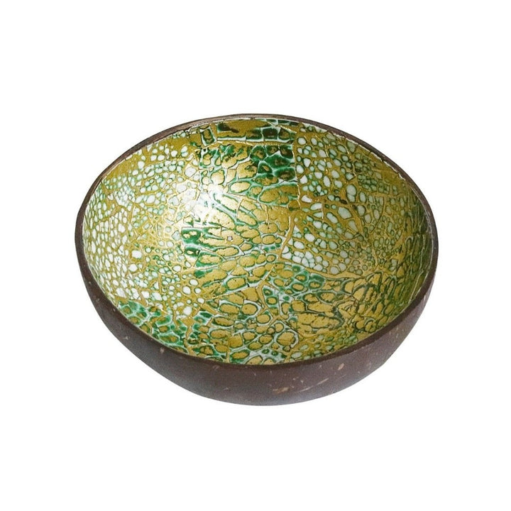 Artsy Coconut Bowl